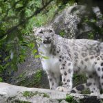 40代、体力の低下に悩む！体力向上のためにやっていること