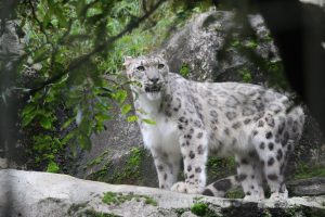 40代、体力の低下に悩む!体力向上のためにやっていること