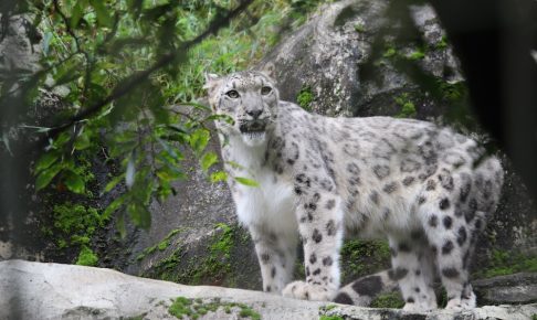 40代、体力の低下に悩む！体力向上のためにやっていること