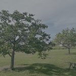 サイドFIREを計画中・資産7000万円パターンと1億円パターン