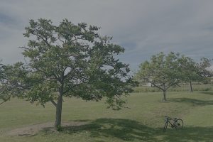 サイドFIREを計画中・資産7000万円パターンと1億円パターン