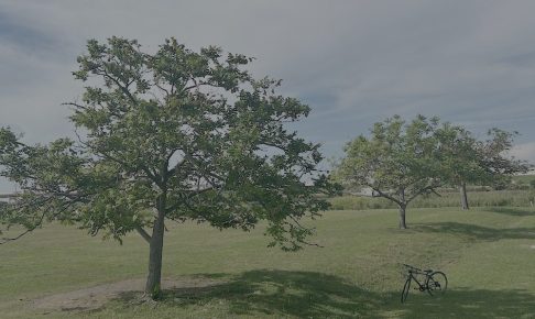 サイドFIREを計画中・資産7000万円パターンと1億円パターン