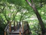 「風の時代」ってなに？何をすればいいの？